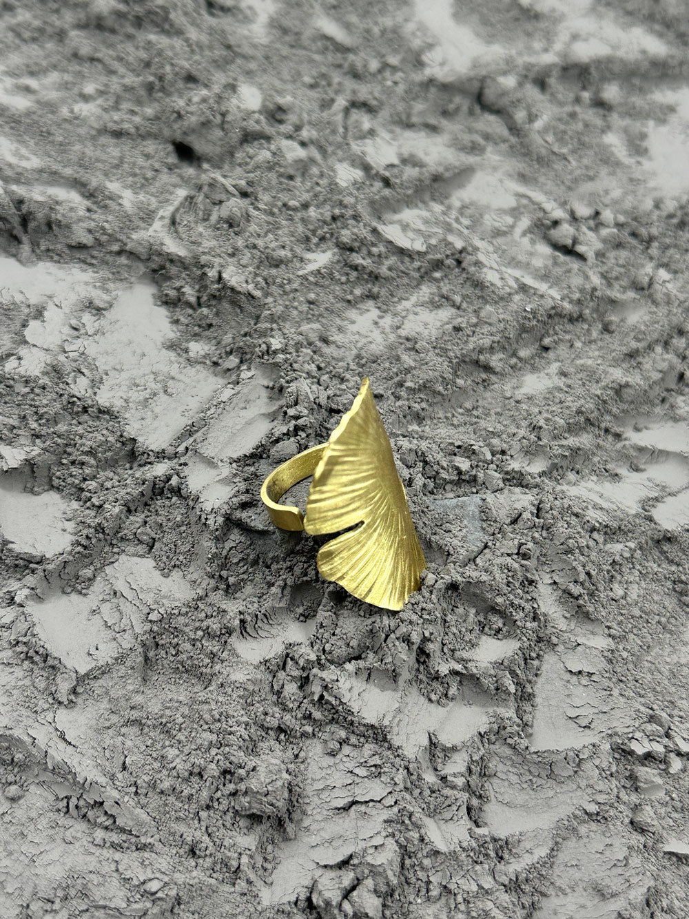 Gingko