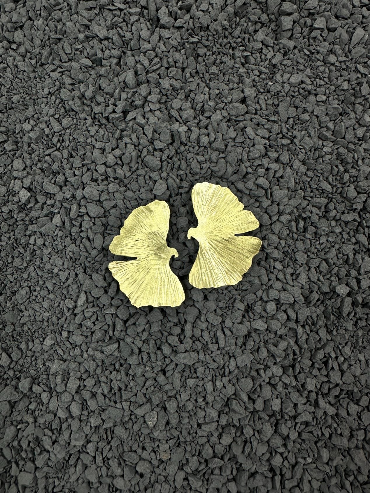 Gingko