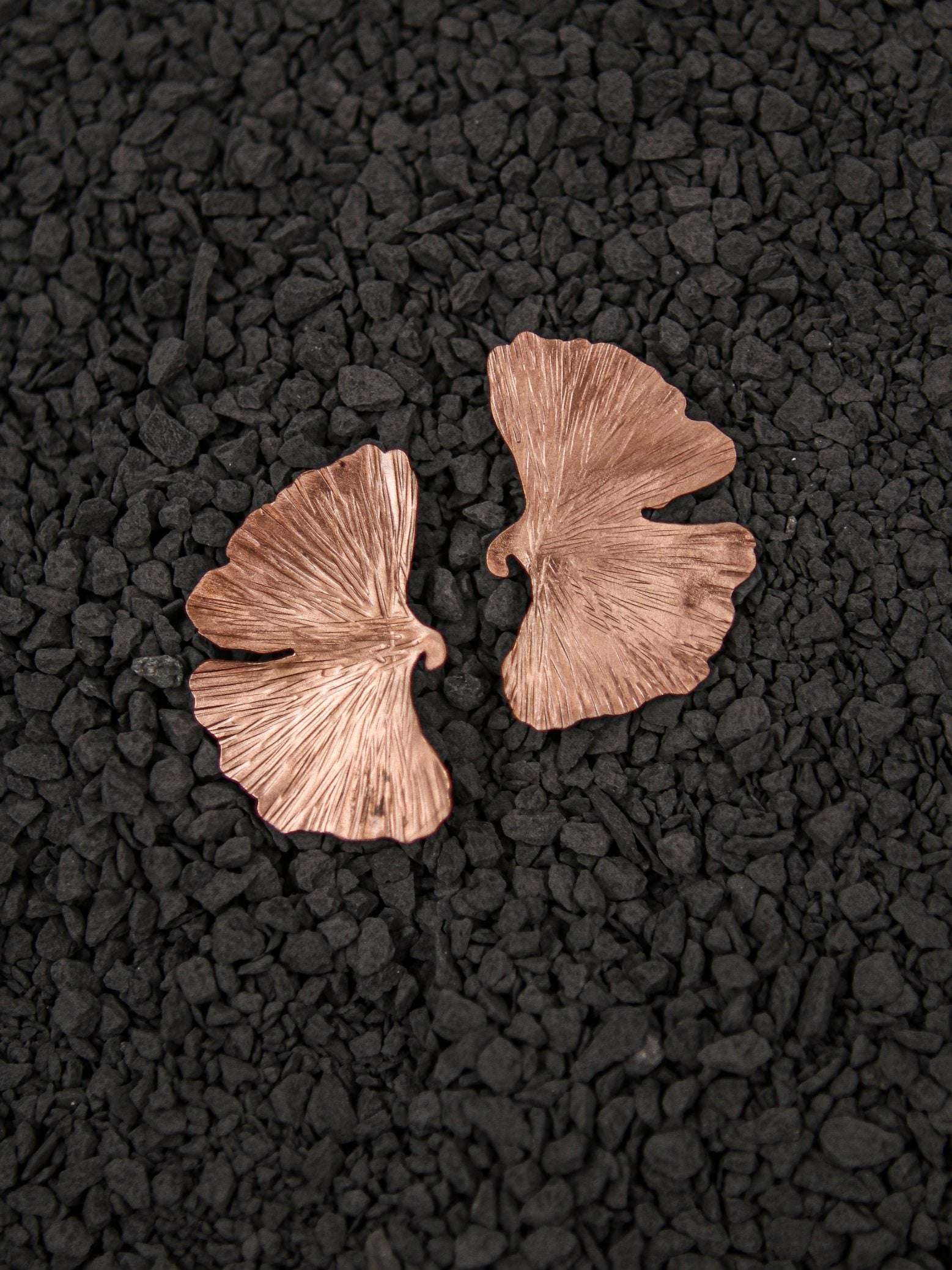 Ginkgo