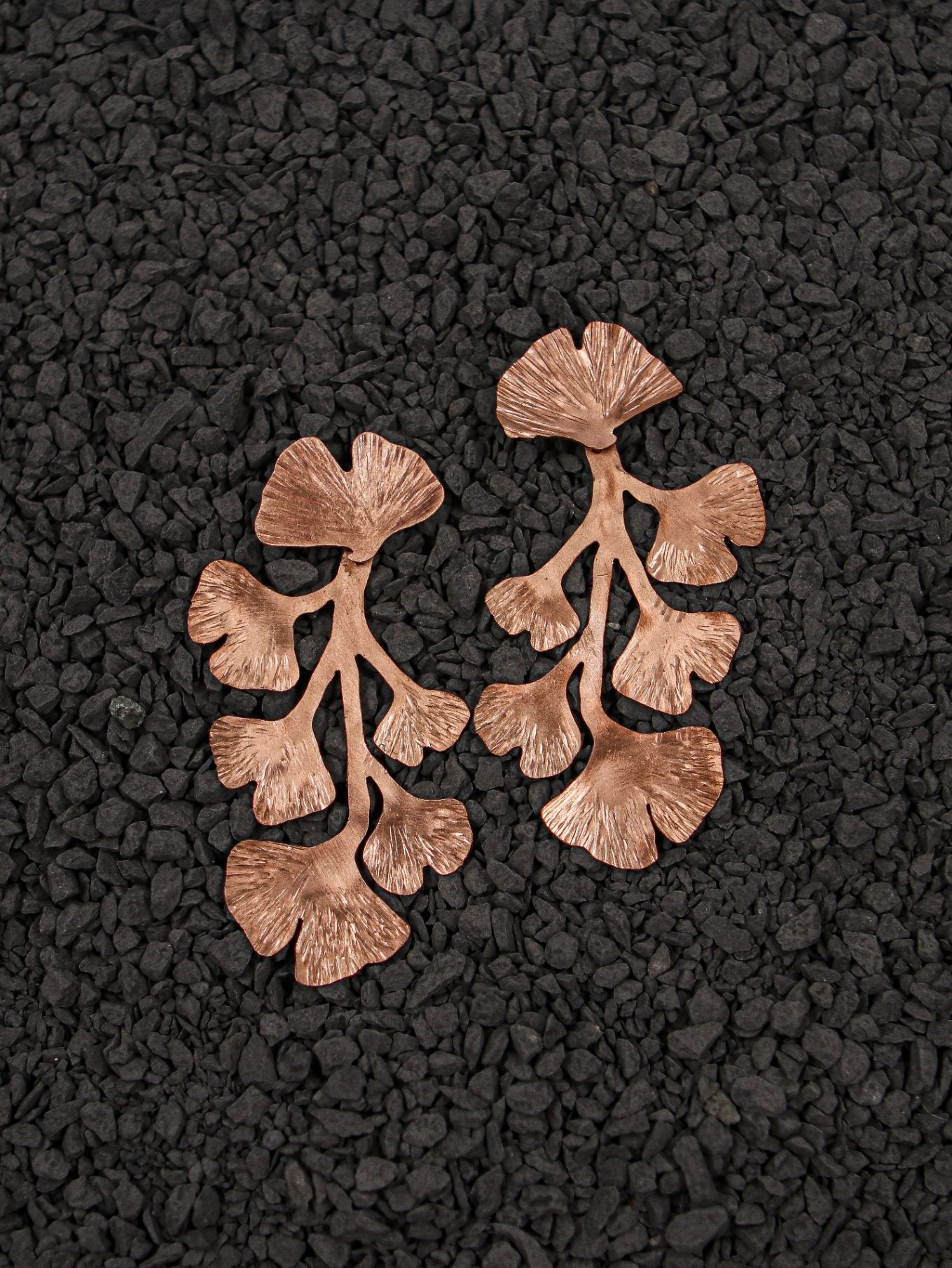 Ginkgo Biloba