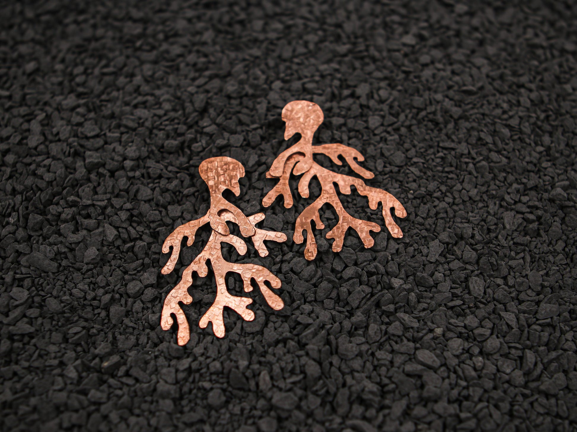 Coral