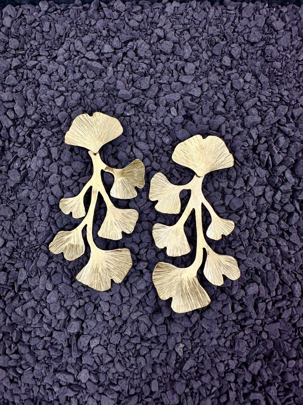 Ginkgo Biloba